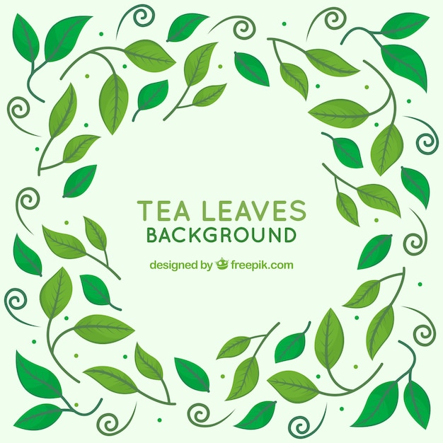 Tea leaves background with plants