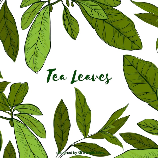 Tea leaves background