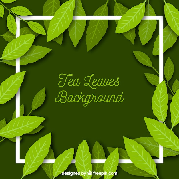 Tea leaves background