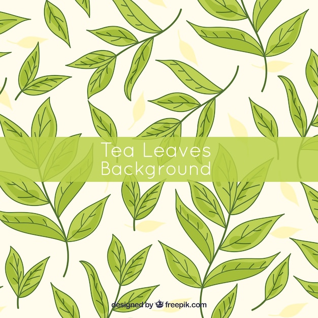 Tea leaves background