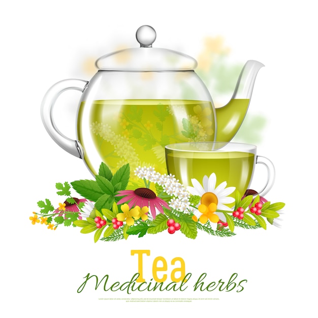 Teapot And Tea Cup Medicinal Herbs Illustration