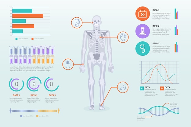 Free Vector template medical healthcare infographic