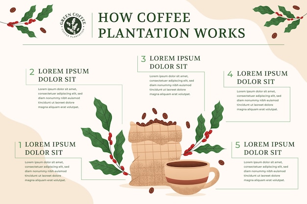 Free Vector texture  coffee plantation infographic