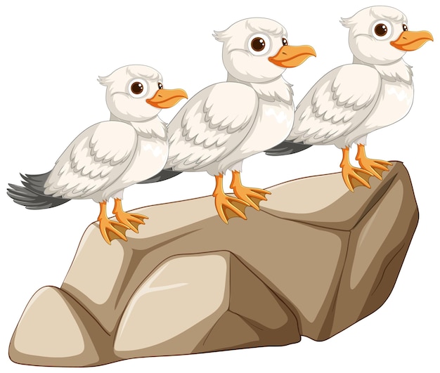 Free vector three birds perched on a rock