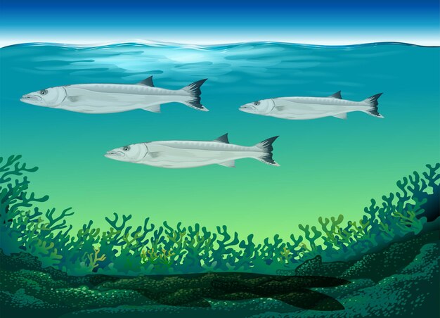 Three fish swimming under the sea