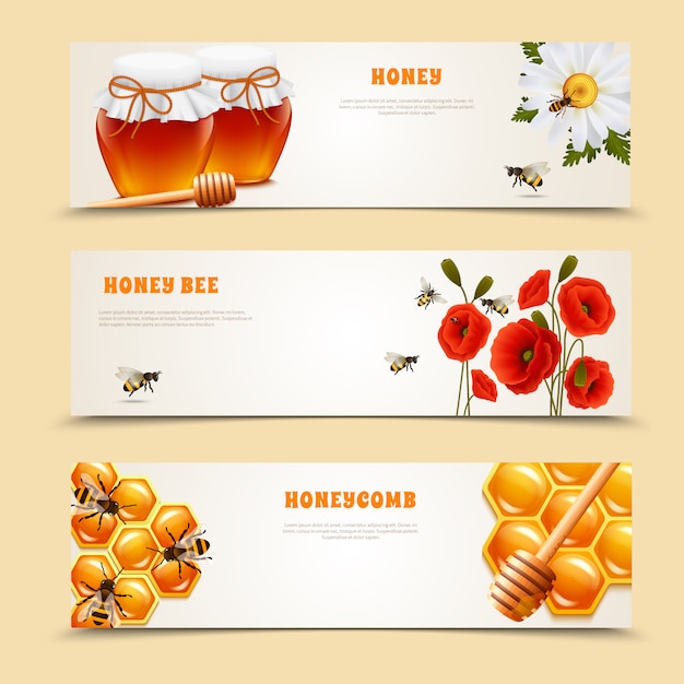 Free Vector three honey banner set