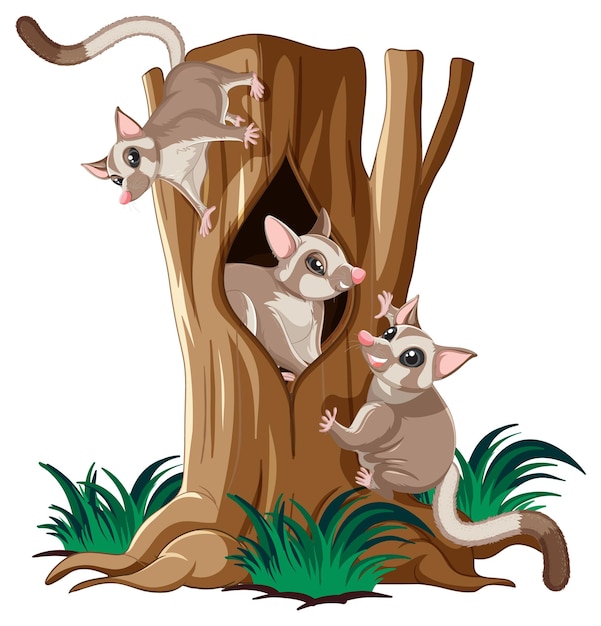 Three sugar gliders climbing tree