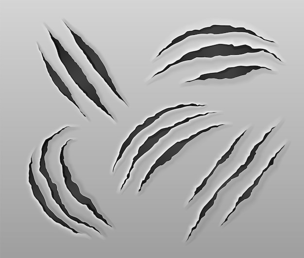 Free vector tiger claw scratch on paper vector bear paw mark