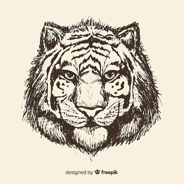 Free Vector tiger head