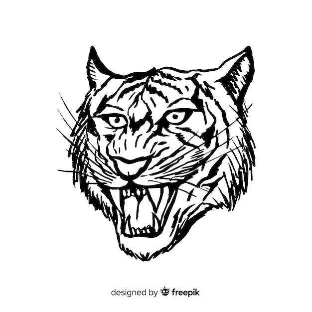 Free Vector tiger head