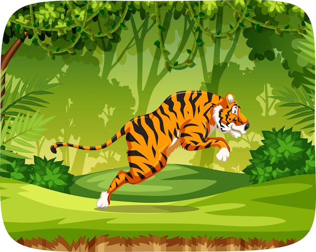 Free Vector tiger in jungle scene