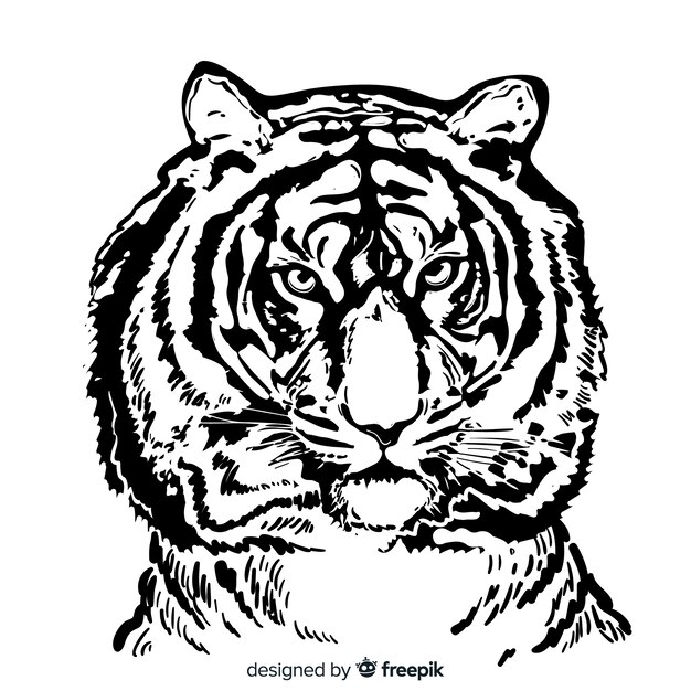 Tiger portrait background