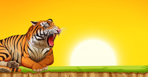 Free Vector a tiger on sunset scene