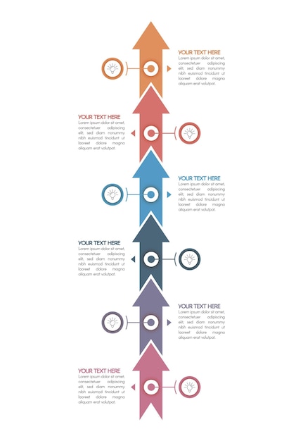 Timeline infographic template