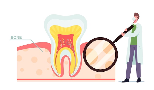 Free Vector tiny dentist male doctor character in mask and white robe with huge tooth magnifier