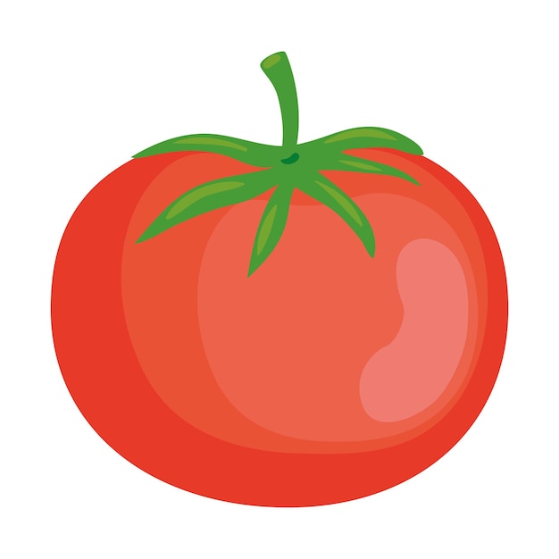 tomato vegetable organic icon isolated