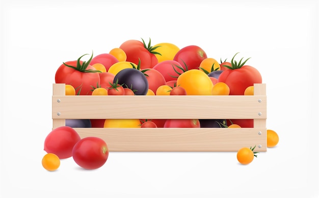 Free Vector tomatoes box realistic isolated illustration