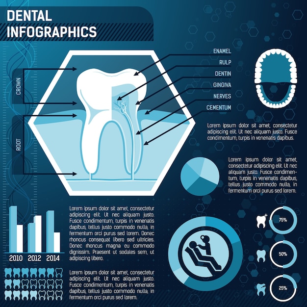 Tooth anatomy, health and prevention template for design infographic