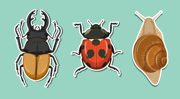 Top view of beetle and ladybug and snail