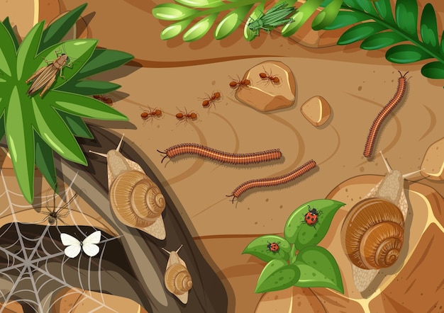 Free Vector top view of different types of insect in the garden