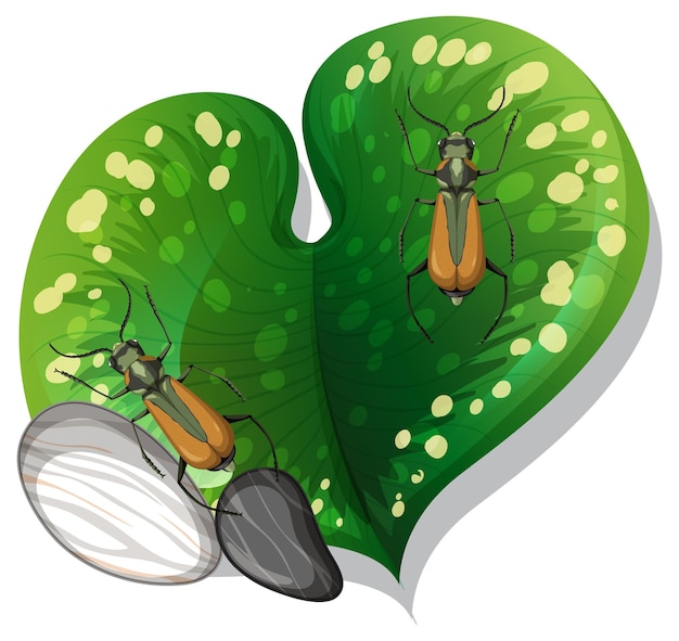 Free Vector top view of insect on a leaf isolated