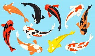 cartoon fish