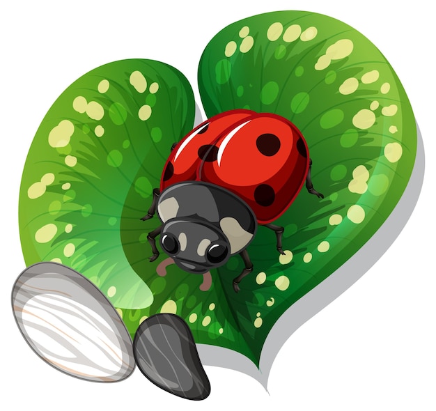 Free vector top view of ladybug on a leaf isolated