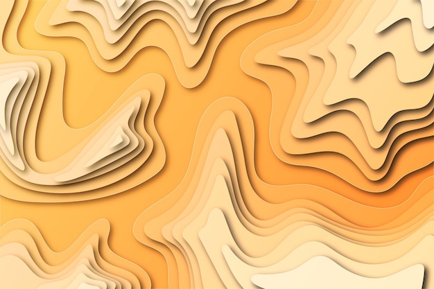 Topographic map background concept