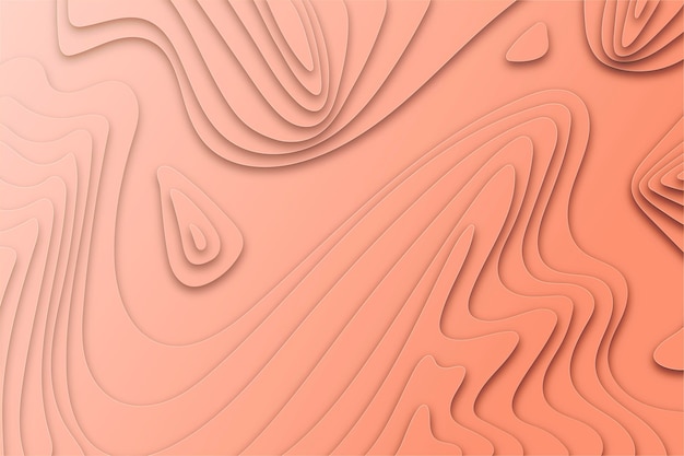 Free Vector topographic map background concept