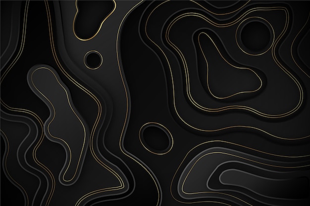 Free Vector topographic map background design