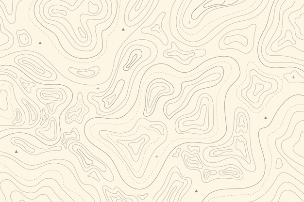 Topographic map background