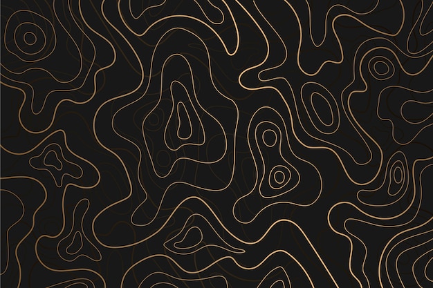 Topographic map background