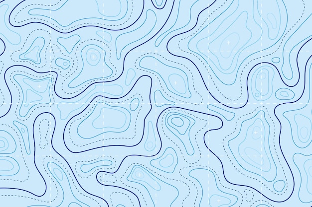 Topographic map background