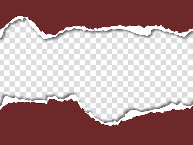 Torn paper style sheet on transparent background vector