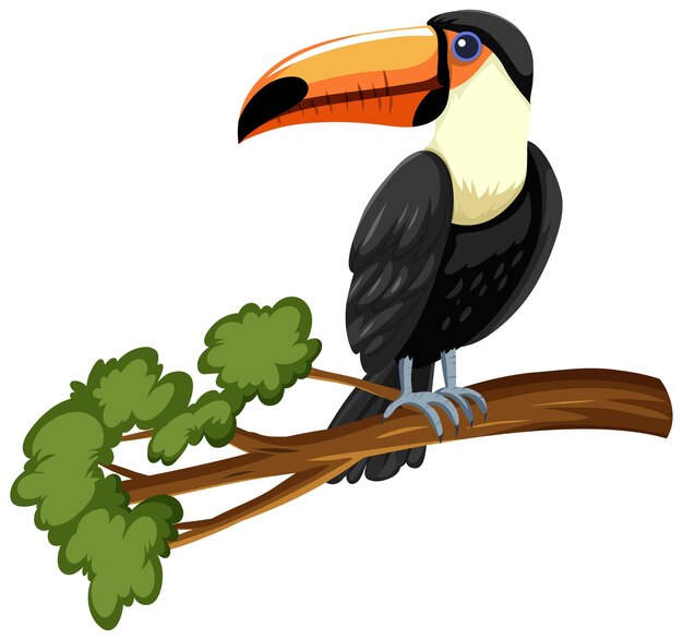 Toucan bird on a branch isolated on white