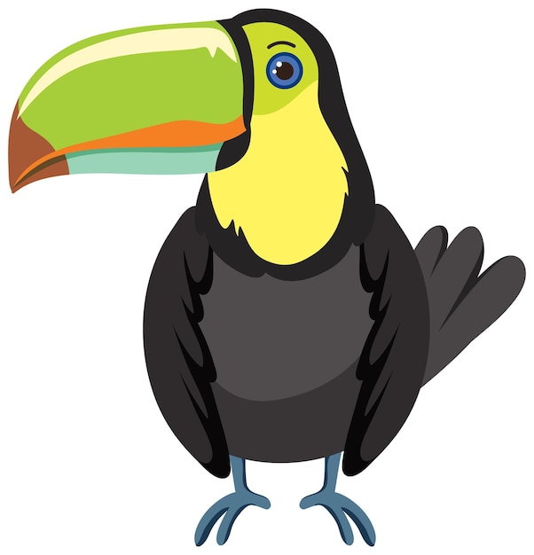 Free Vector toucan bird in cartoon style