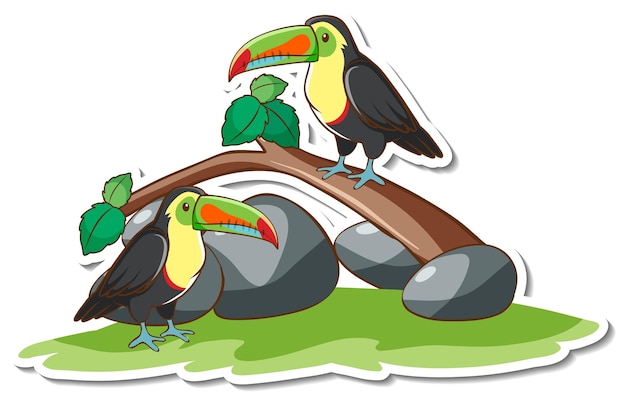 Toucan bird standing on a branch sticker