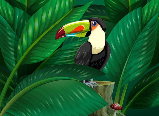 Free vector toucan hidden in the tropical leaves background