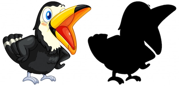 Free Vector toucan with its silhouette