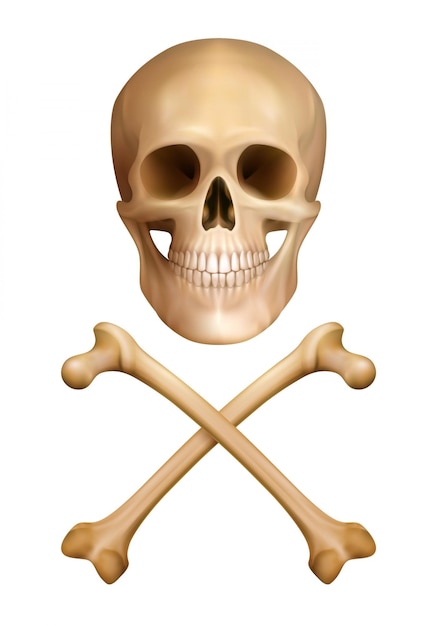 Free Vector traditional warning of danger  concept in realistic style with human skull and crossed bones