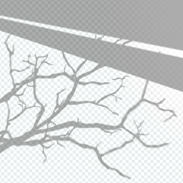 Free Vector transparent plant shadows overlay effect