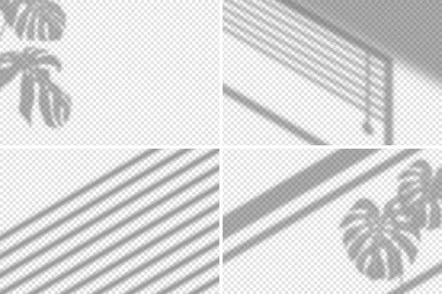 Free Vector transparent shadows overlay effect with details