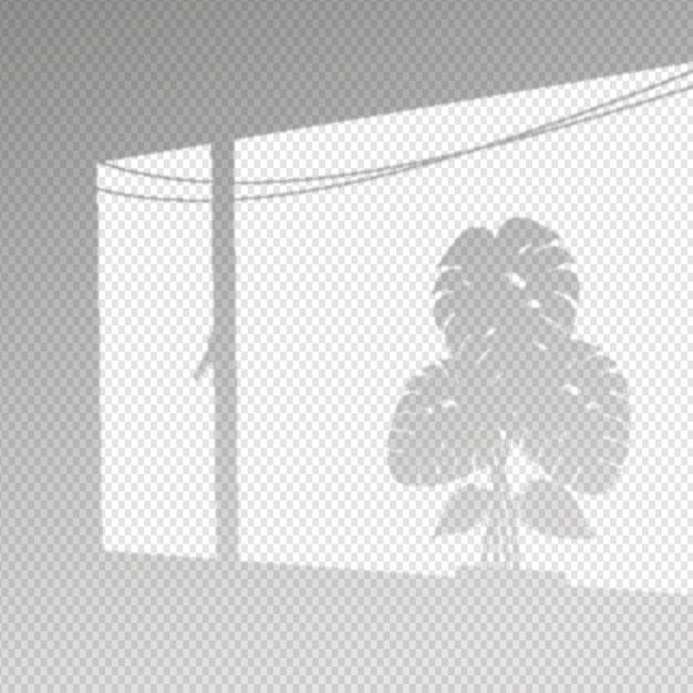 Free Vector transparent shadows overlay effect with monstera leaves