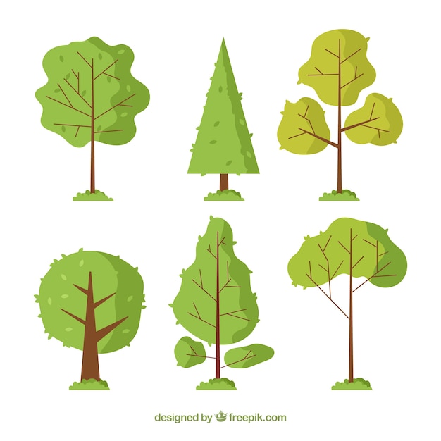 Tree collection in flat design