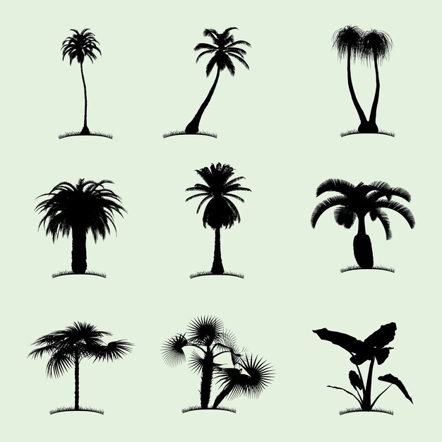 Tree Collection Flat Icon with nine tropical palms of different kind illustration