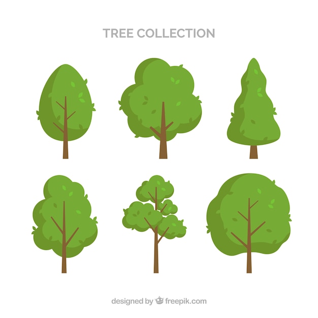 Tree collection of six