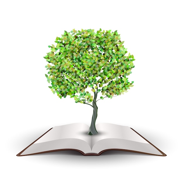 Tree growing from open book Vector isolated on white