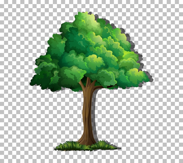 Free Vector a tree isolated on transparent background