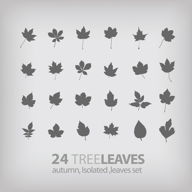 Tree leaf icons collection