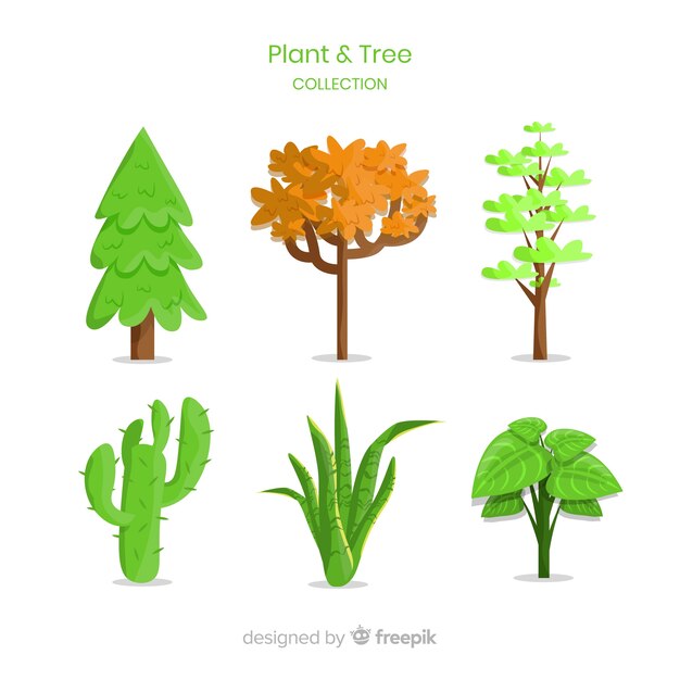 Tree and plant collection